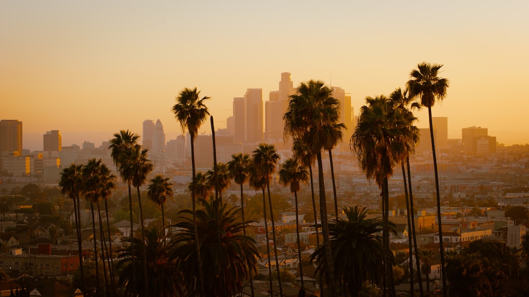 City: Los Angeles - Photo by Cedric Letsch
